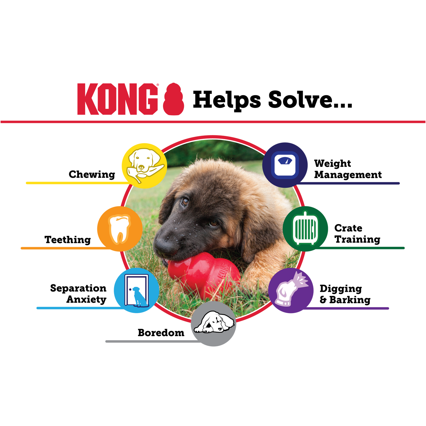 Kong Extreme Toy for Dogs — back view