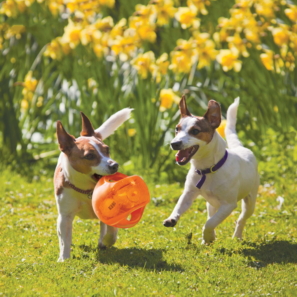 Kong Jumbler Interactive Squeaky Toy for Dogs — side view