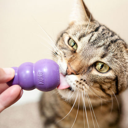Kong Kitty Kong Toy for Cats — back view