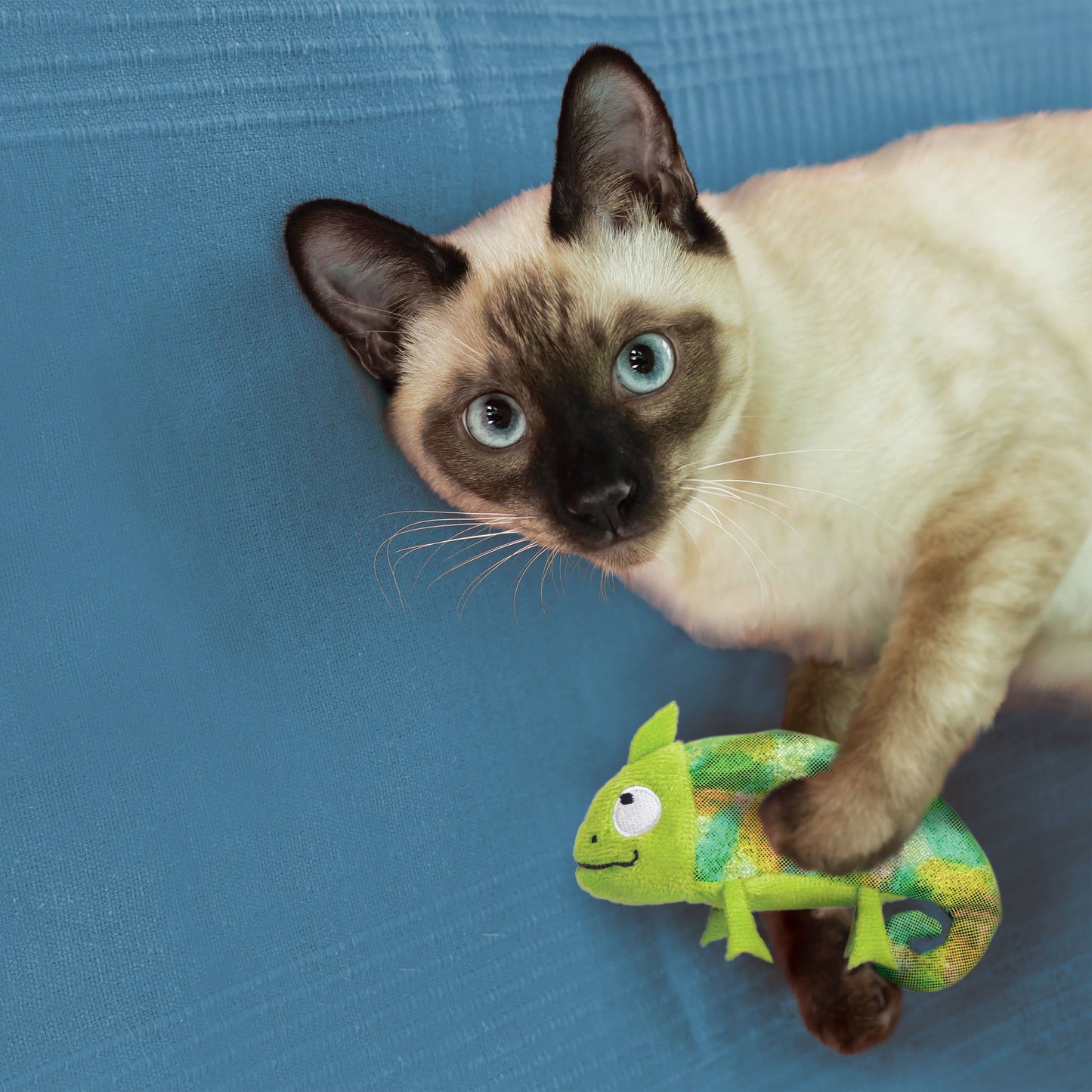 Kong Refillables Chameleon Toy for Cats — side view