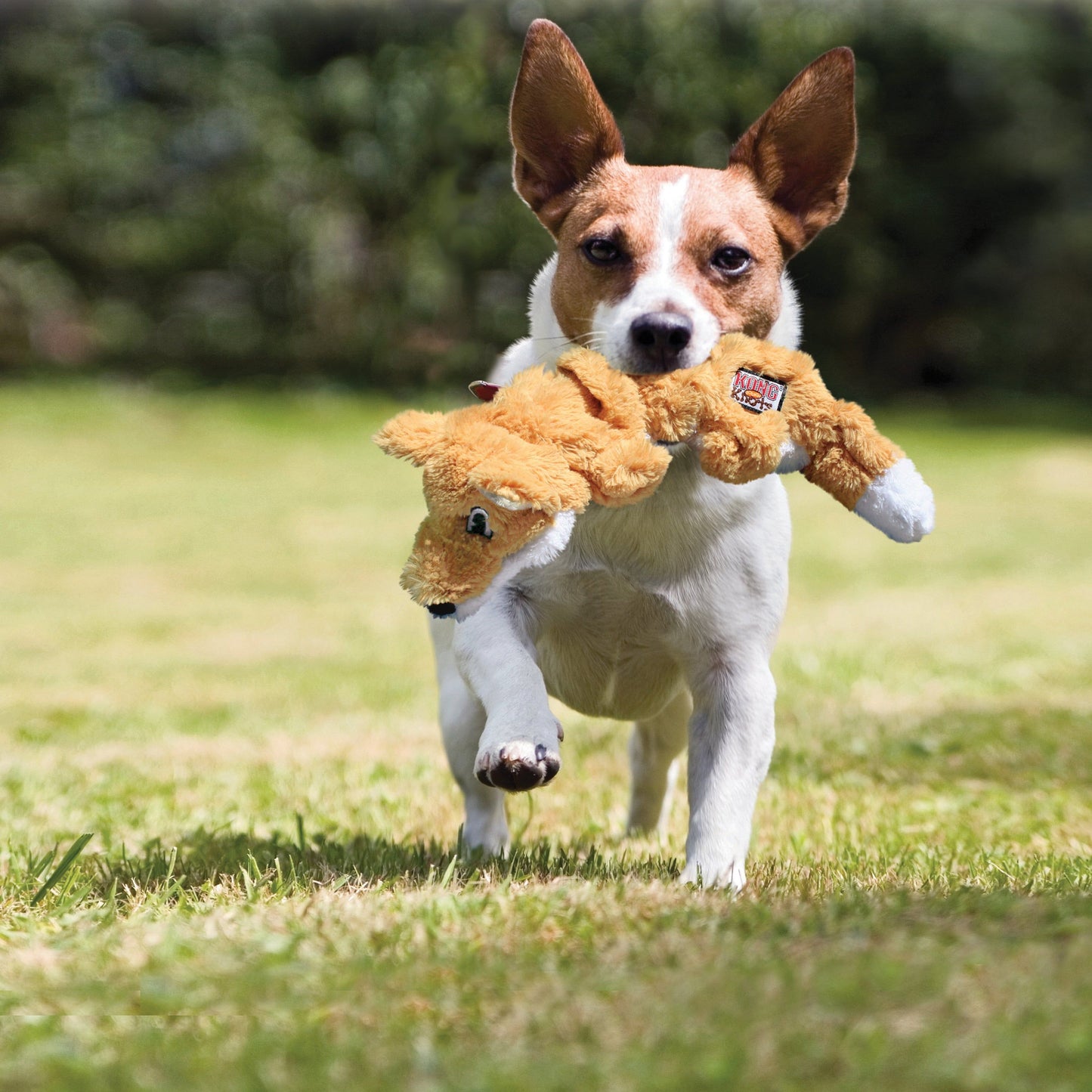 Kong Scrunch Knots Squirrel Toy for Dogs — side view