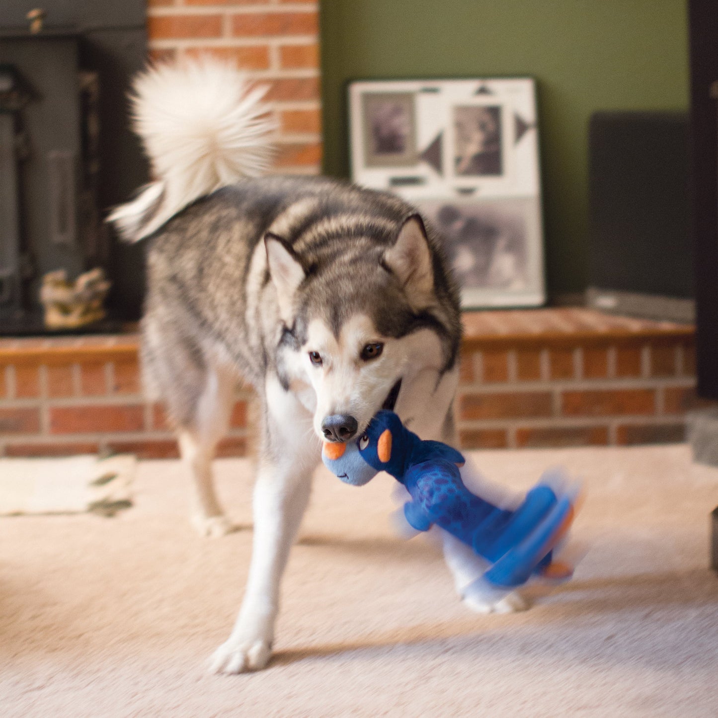 Kong Shakers Dragon Toy for Dogs — side view