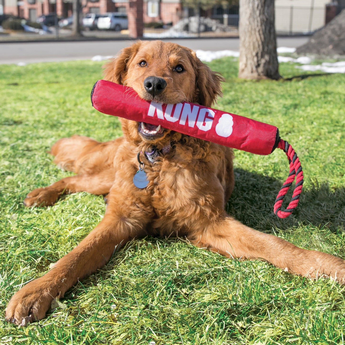 Kong Signature Stick with Rope Toy for Dogs — side view