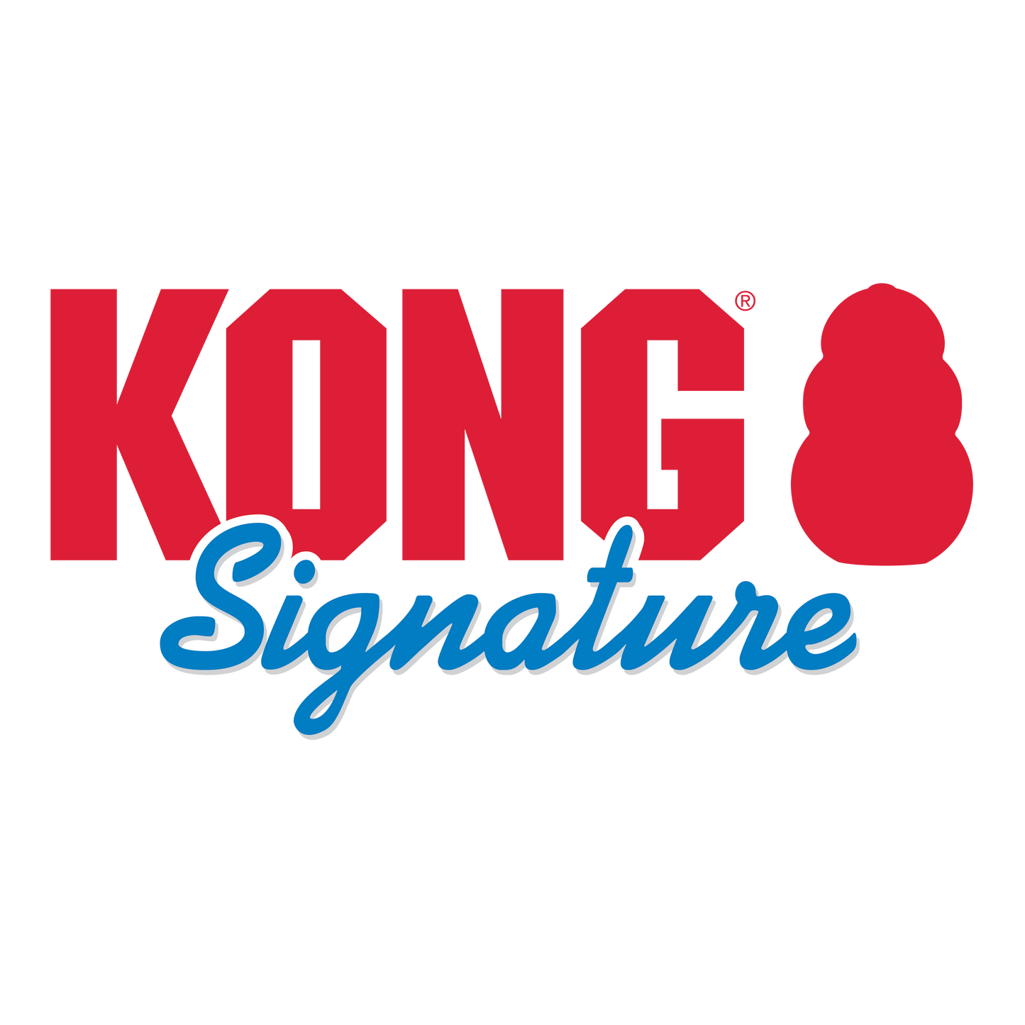 Kong Signature Stick with Rope Toy for Dogs — detail shot