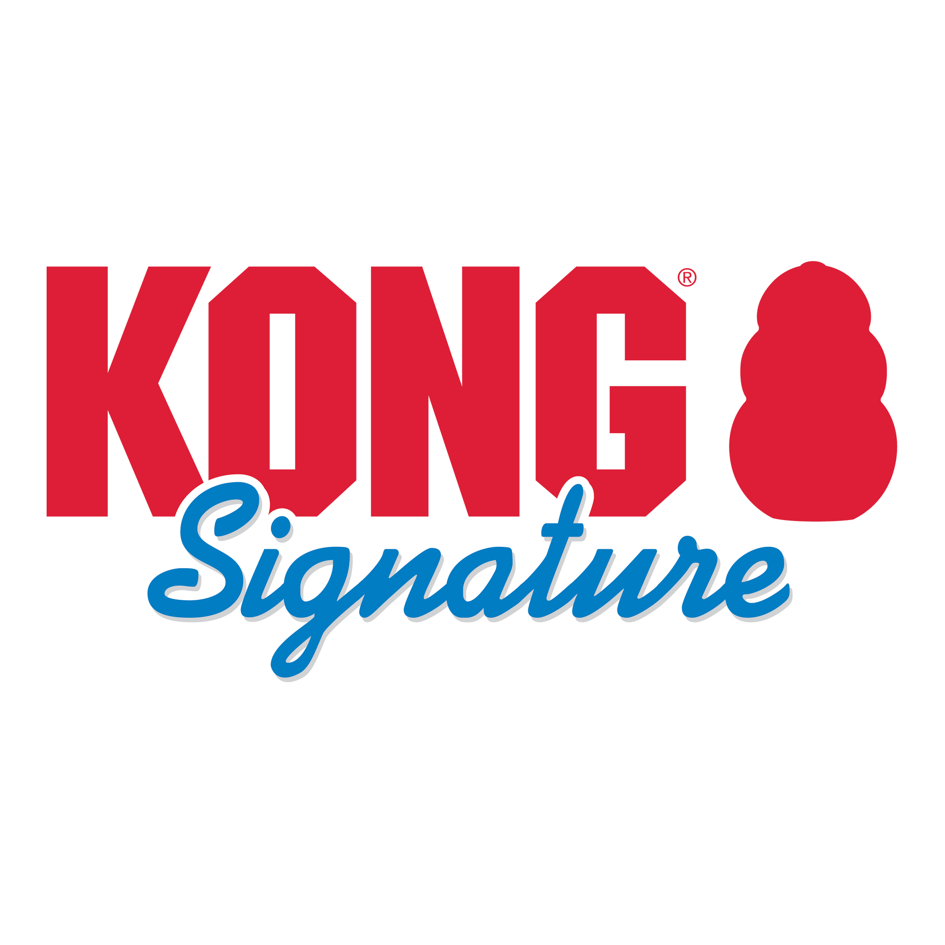 Kong Signature Stick with Rope Toy for Dogs — detail shot
