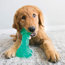 Kong Squeezz Dental Bone Toy For Dogs Green - Image 3