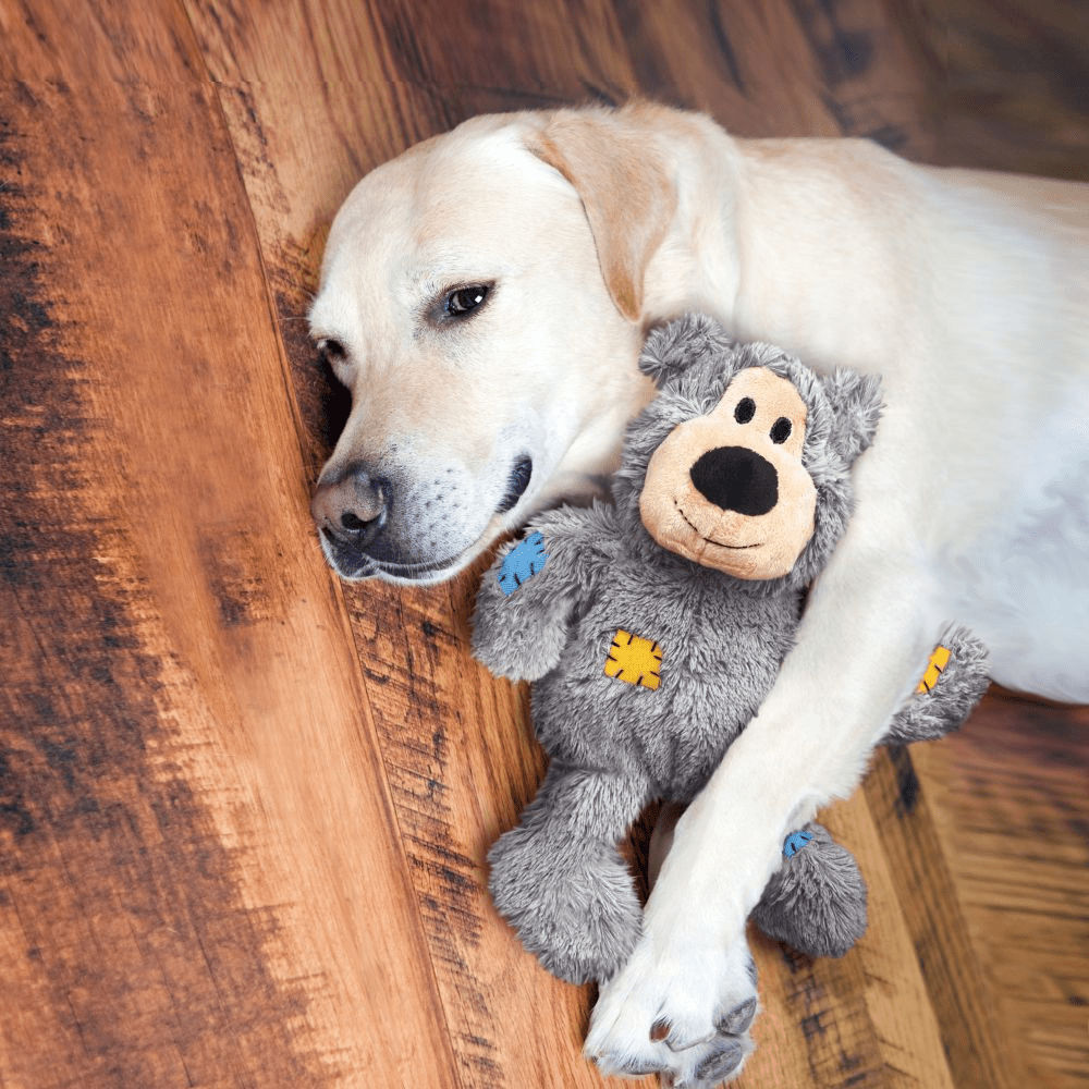 Kong Wild Knots Bear Toy for Dogs — back view