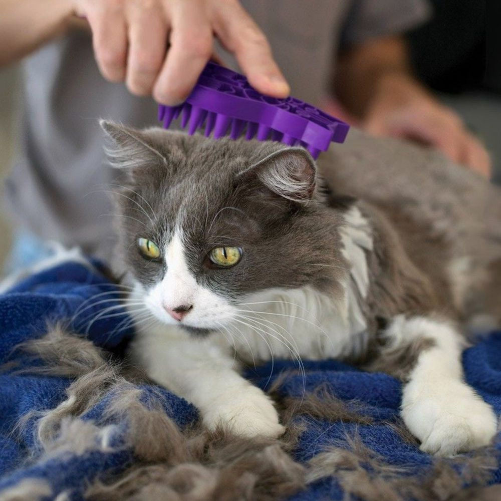 Kong Zoom Groom Brush for Cats — in use