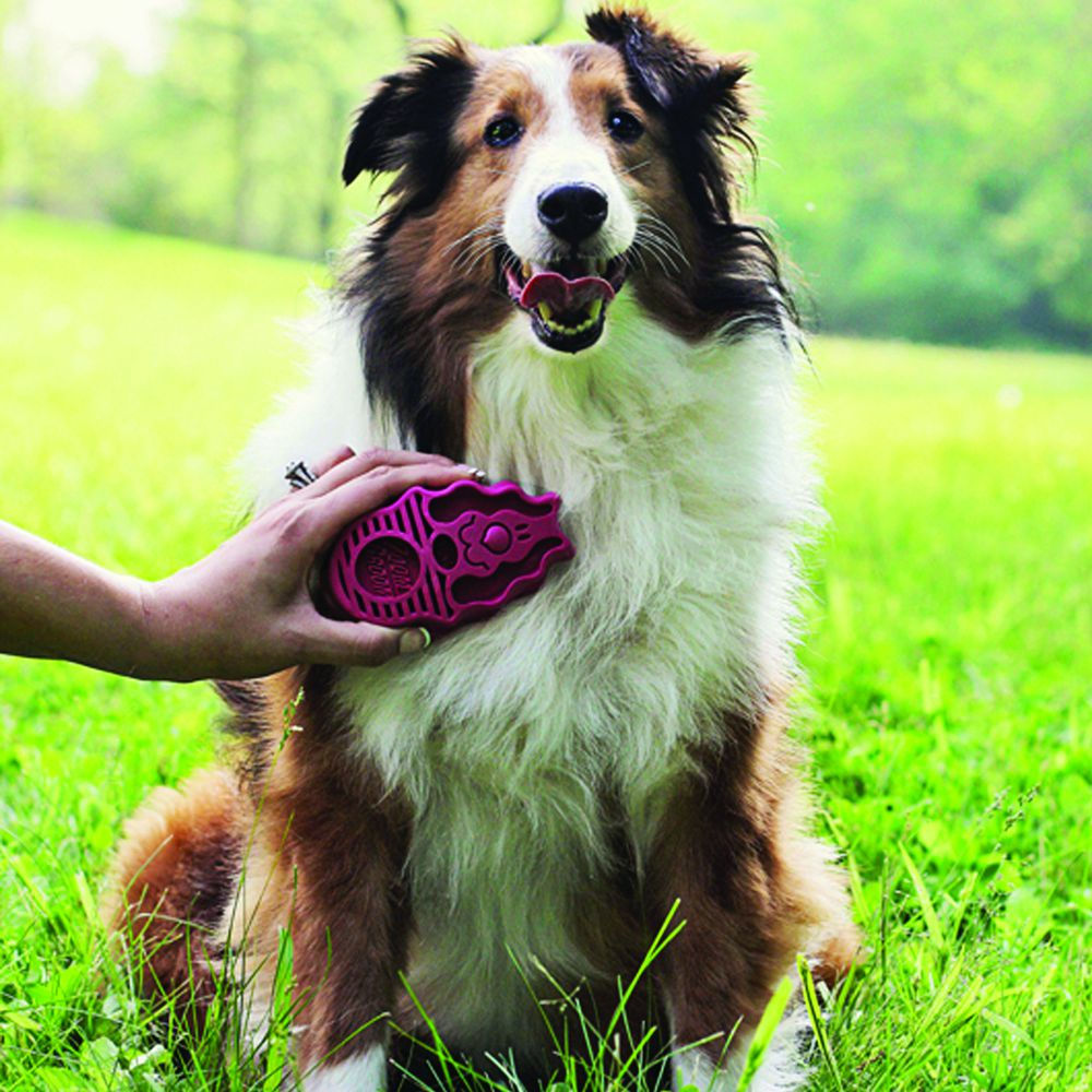 Kong Zoom Groom Raspberry Brush for Dogs — detail shot