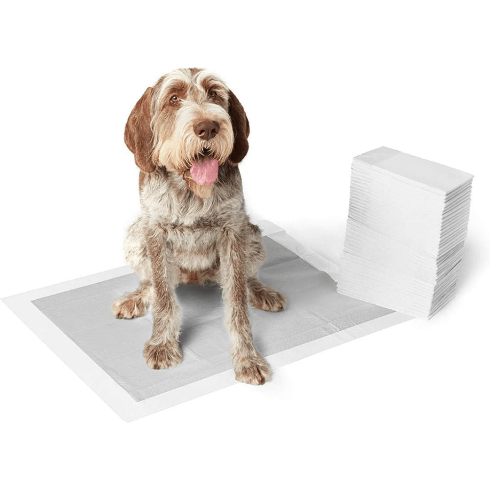 M Pets Carbon Training Dog Pads — back view