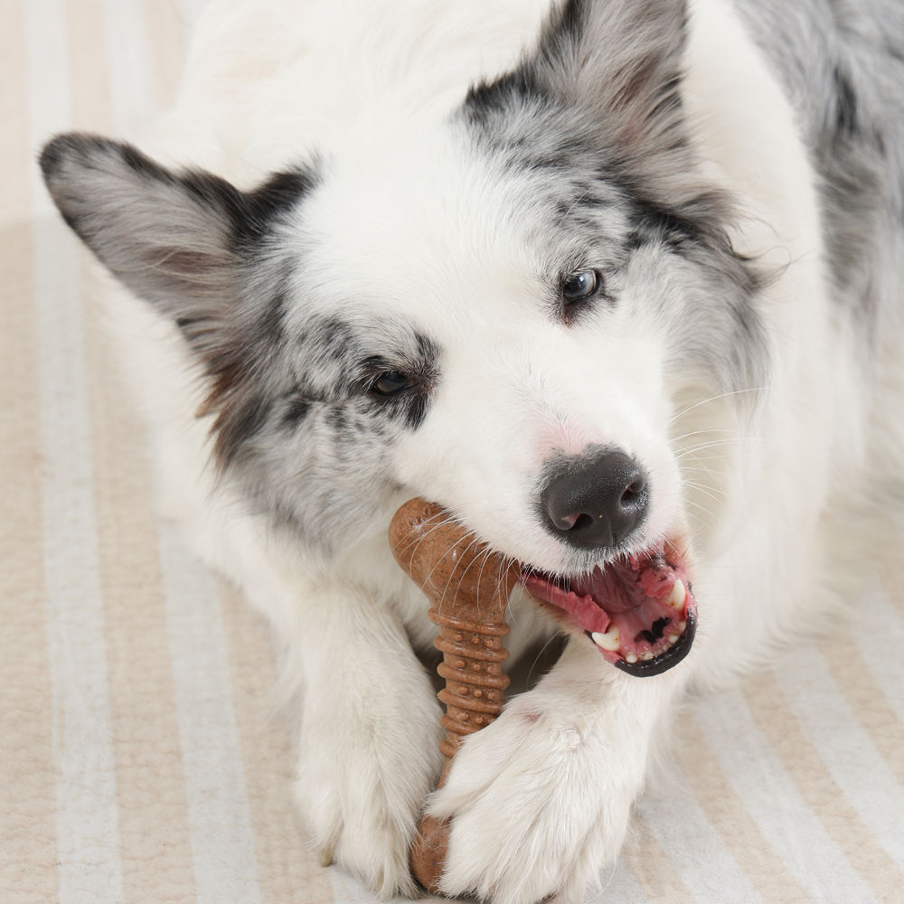 M Pets Chewood Bone Chew Toy for Dogs — back view