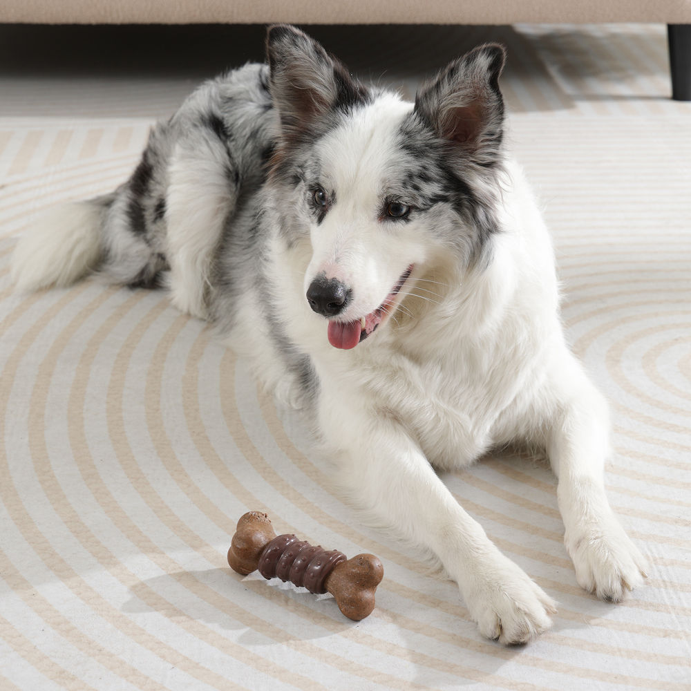 M Pets Chewood Bone with Rubber Chew Toy for Dogs — side view
