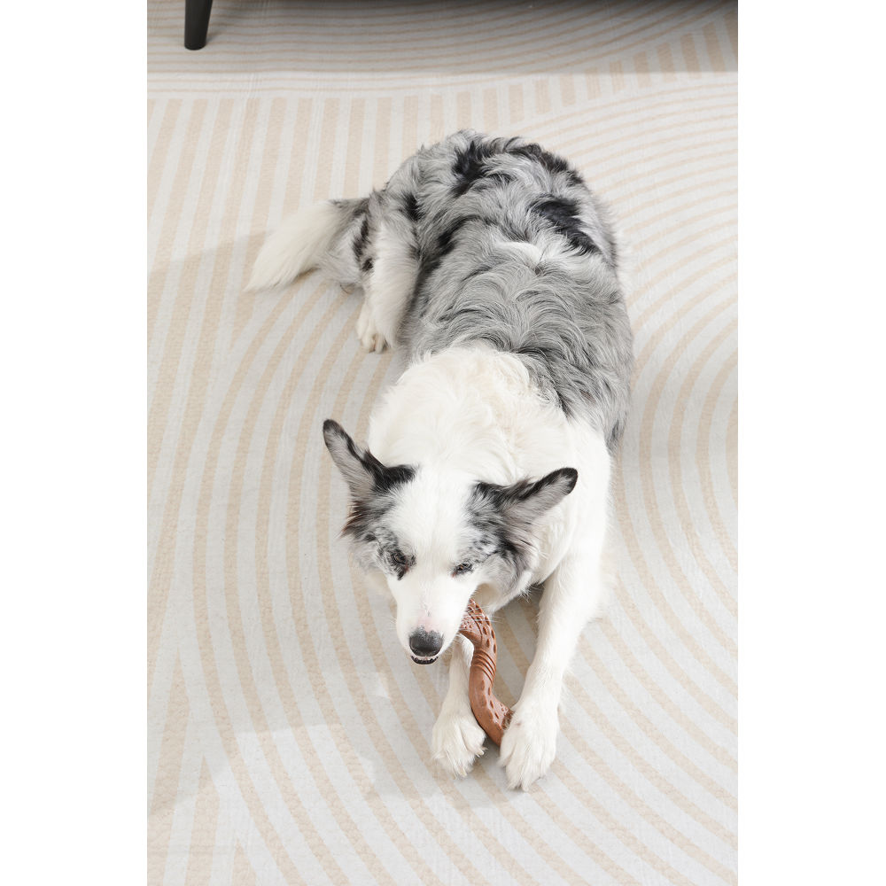 M Pets Chewood Twist Chew Toy for Dogs — detail shot