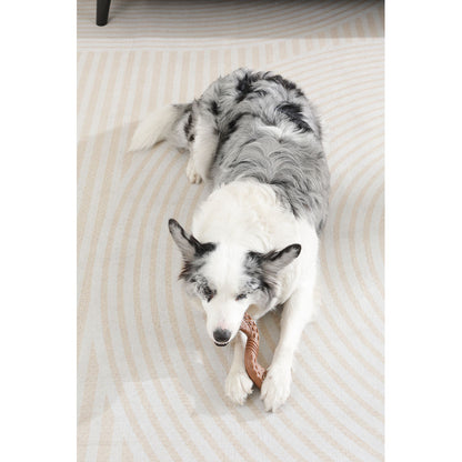 M Pets Chewood Twist Chew Toy for Dogs — detail shot