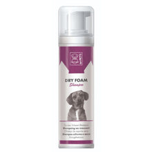 Mpets Dry Foam Shampoo - Image 2