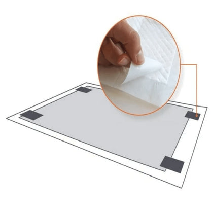 M Pets Easy Fix Puppy Training Pads With Stickers for Dogs — in use