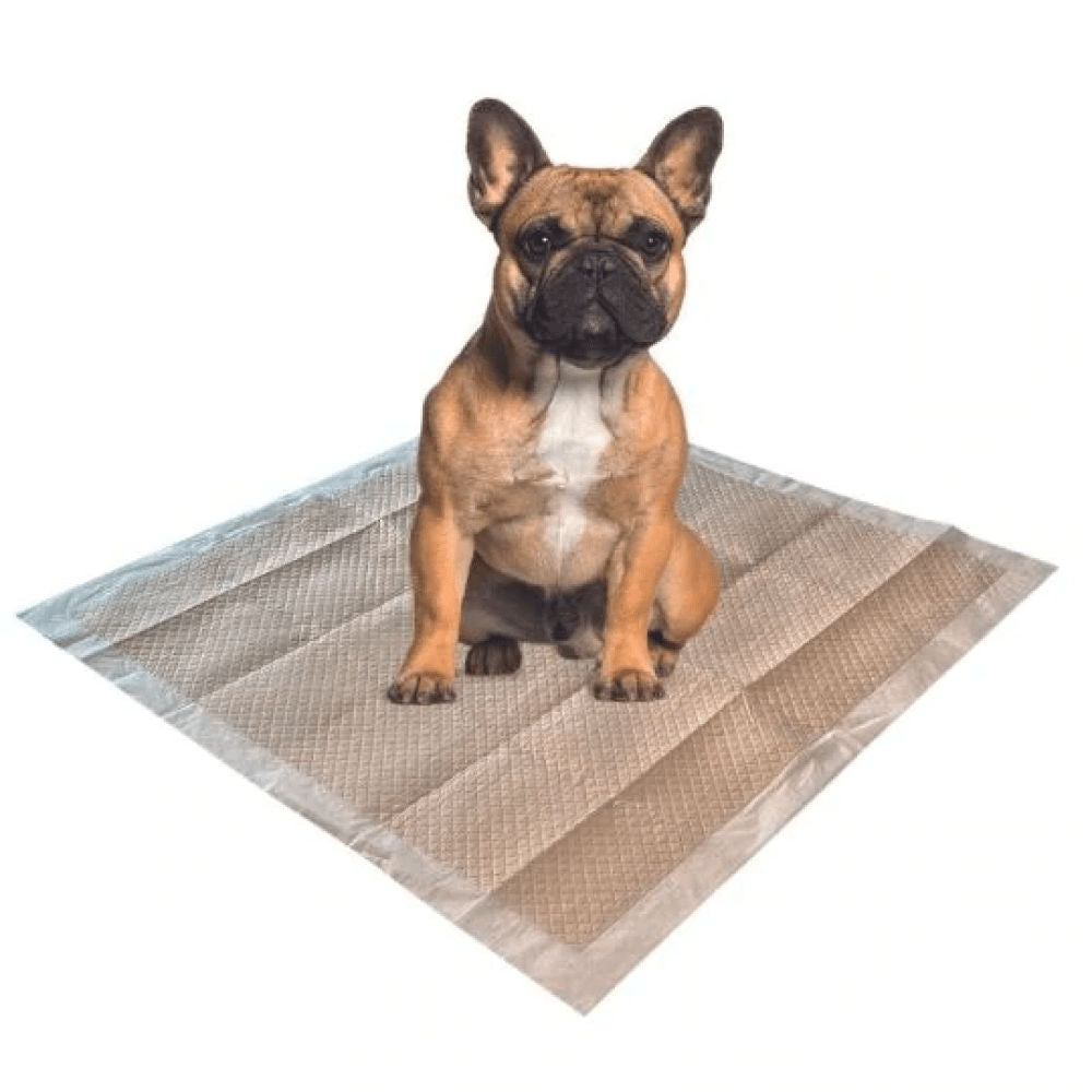 M Pets Eco Training Pads for Puppies — side view