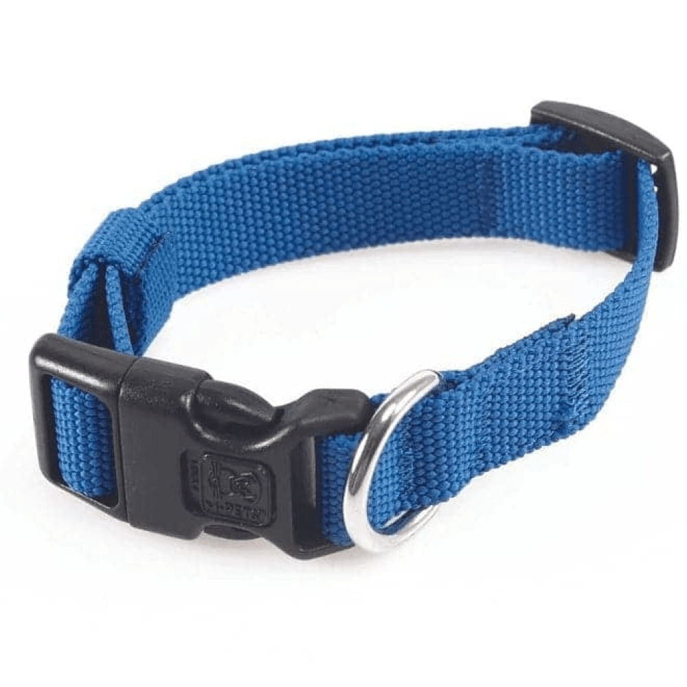 M Pets Jolly Eco Collar for Dogs — back view