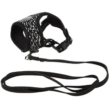M Pets Letsgo Harness Leash For Cats Black White - Image 3