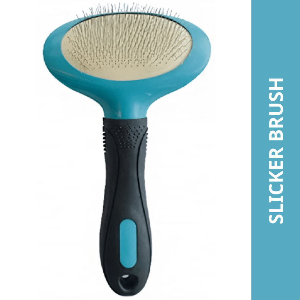 Mpets Oval Slicker Brush