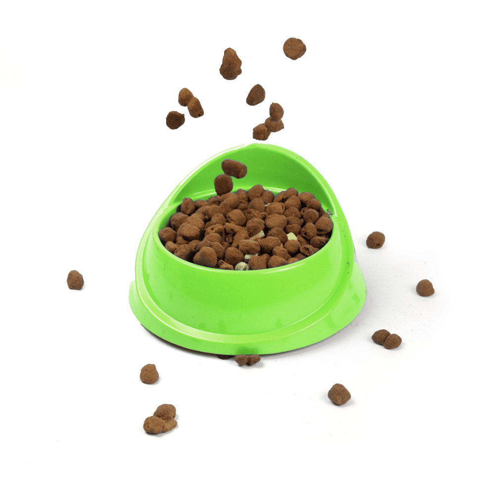 M Pets Single Fashion Diner Bowl For Pets Green - Image 5