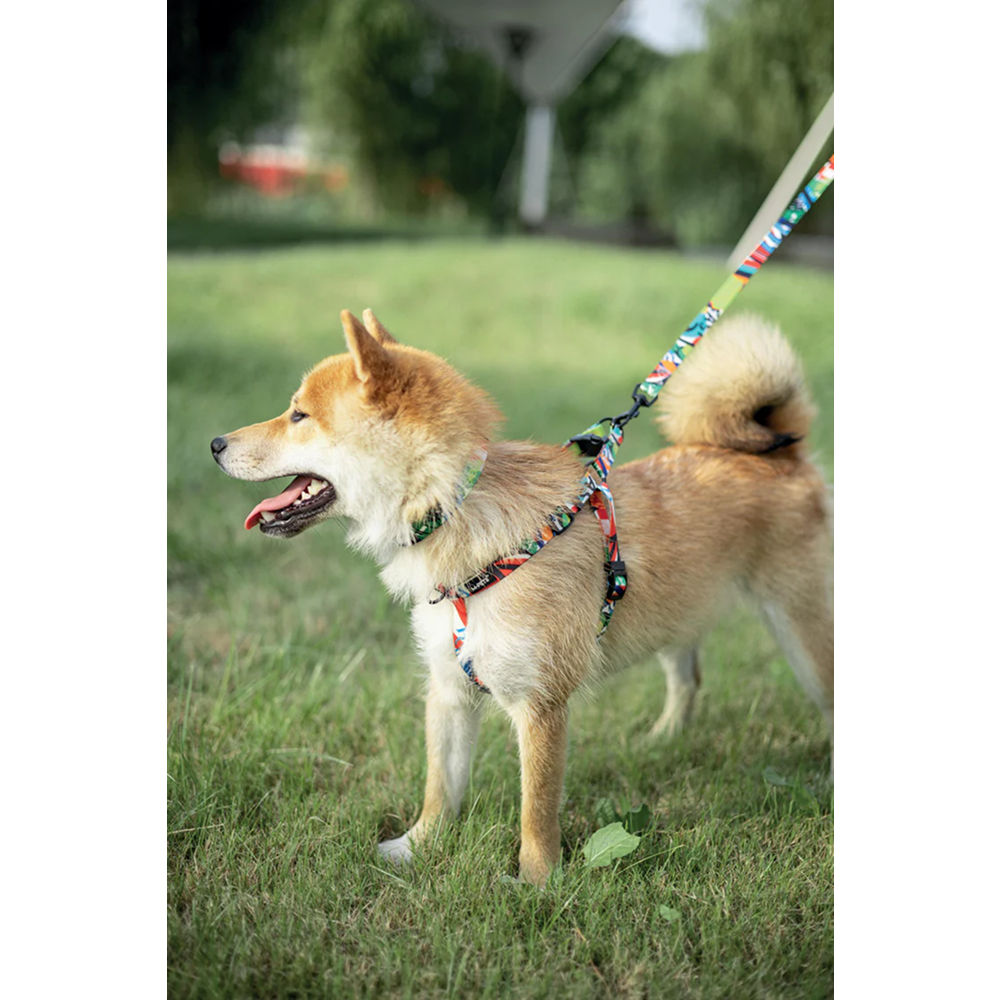 M Pets Urban Style Freestyle Harness for Dogs — detail shot