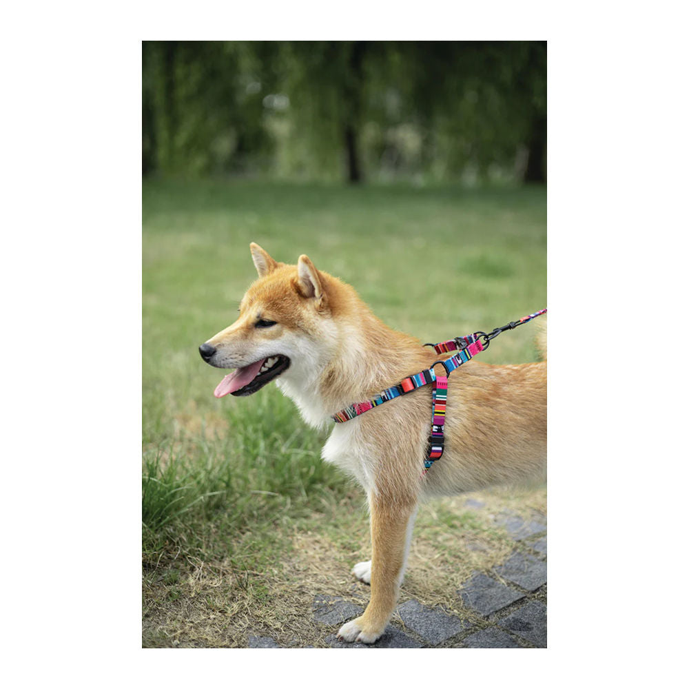 M Pets Urban Style Jazz Stripes Harness for Dogs — side view