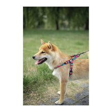 M Pets Urban Style Jazz Stripes Harness For Dogs - Image 2