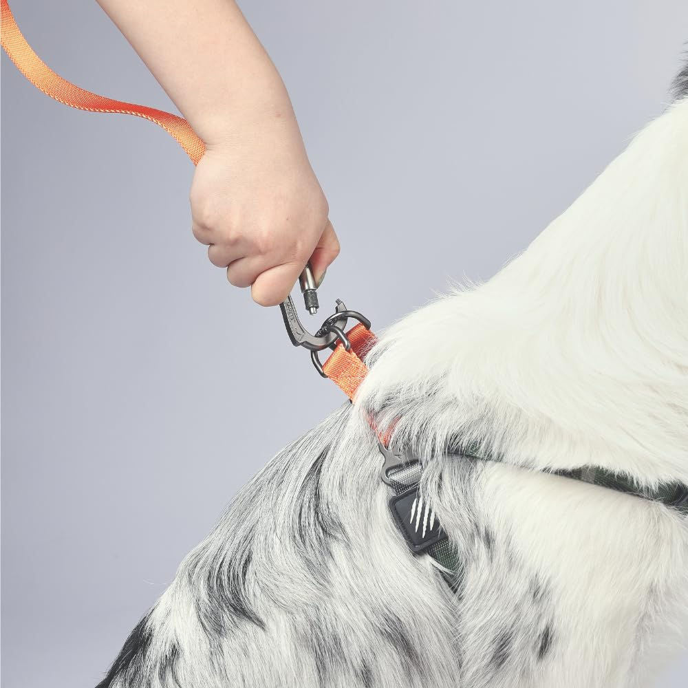 M Pets Wild Jungle Control Leash for Dogs — back view