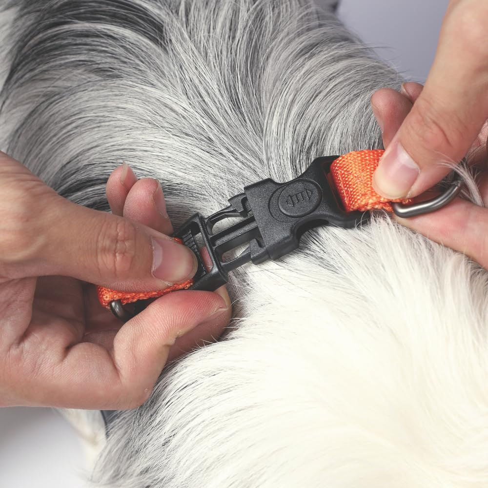 M Pets Wild Jungle Harness for Dogs — back view