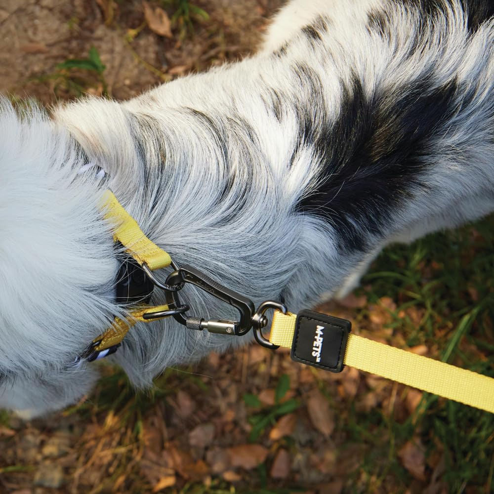 M Pets Wild Safari Control Leash for Dogs — back view