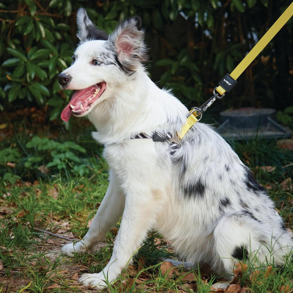 M Pets Wild Safari Control Leash for Dogs — detail shot