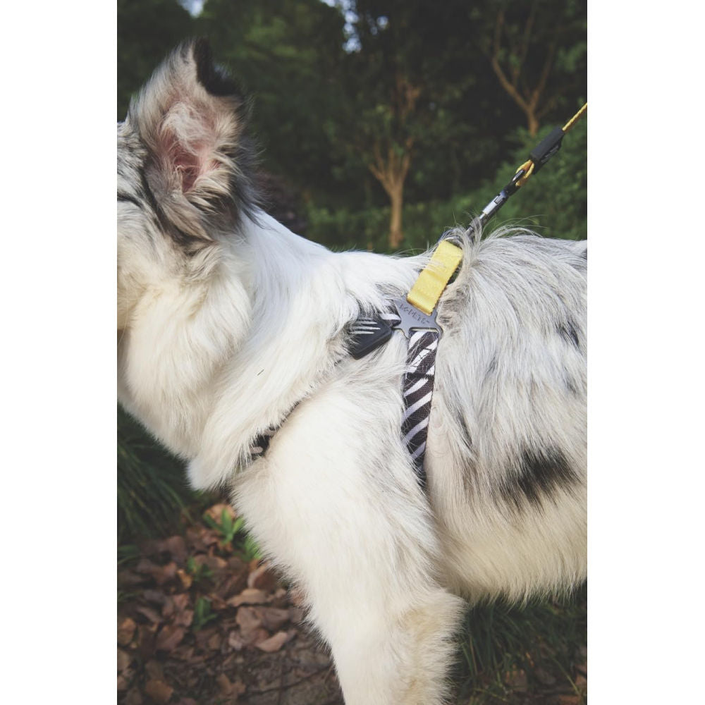 M Pets Wild Safari Harness for Dogs — side view