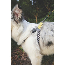 M Pest Wild Safari Harness For Dogs Harness - Image 2