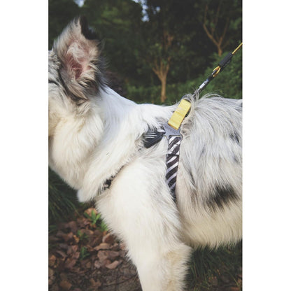 M Pets Wild Safari Harness for Dogs — side view