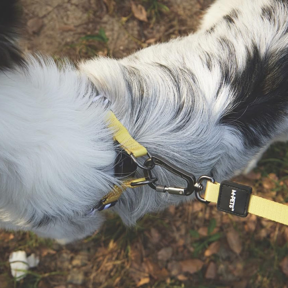 M Pets Wild Safari Regular Leash for Dogs — back view
