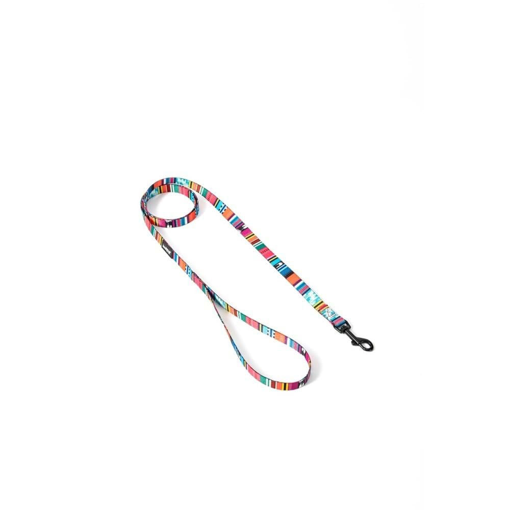 M Pets Urban Style Jazz Stripes Leash for Dogs — back view