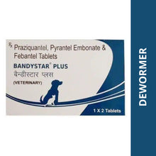 Mankind Bandystar Plus Tablets For Dogs And Cats Pack Of 2 Tablets - Image 2