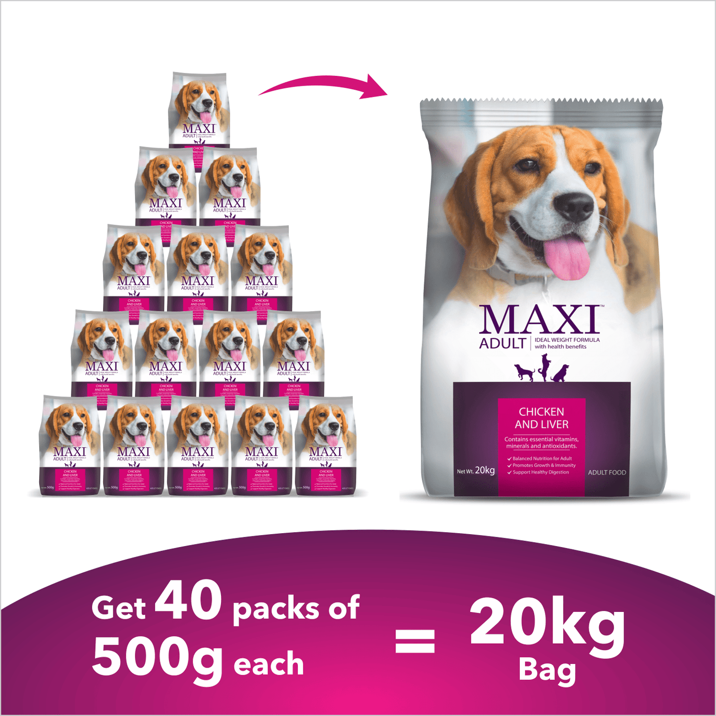 Maxi Adult Chicken and Liver Dog Dry Food — back view