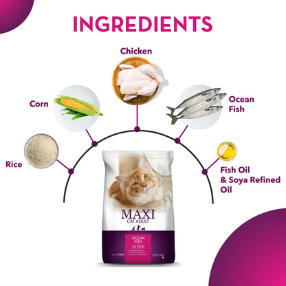 Maxi Adult Ocean Fish Adult Dry Cat Food — in use