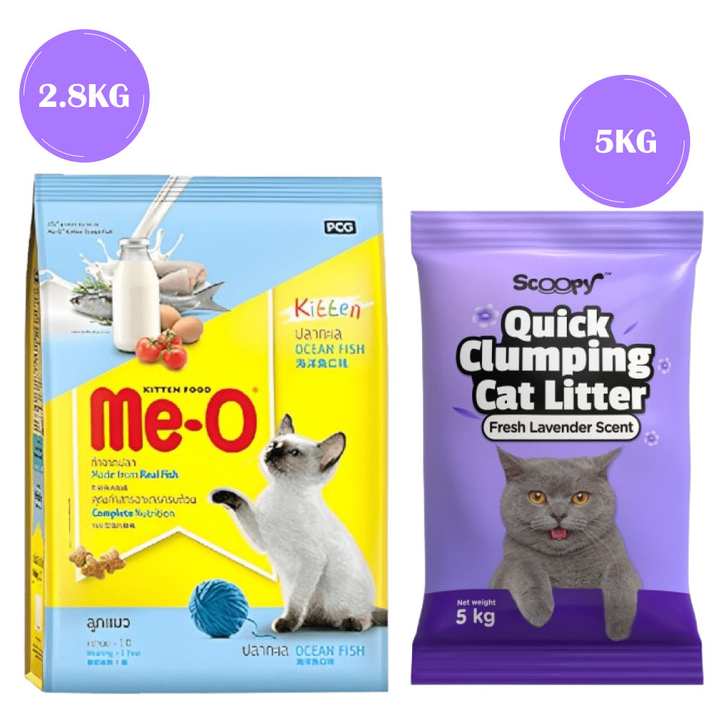 Me O Ocean Fish Kitten Cat Dry Food — in use