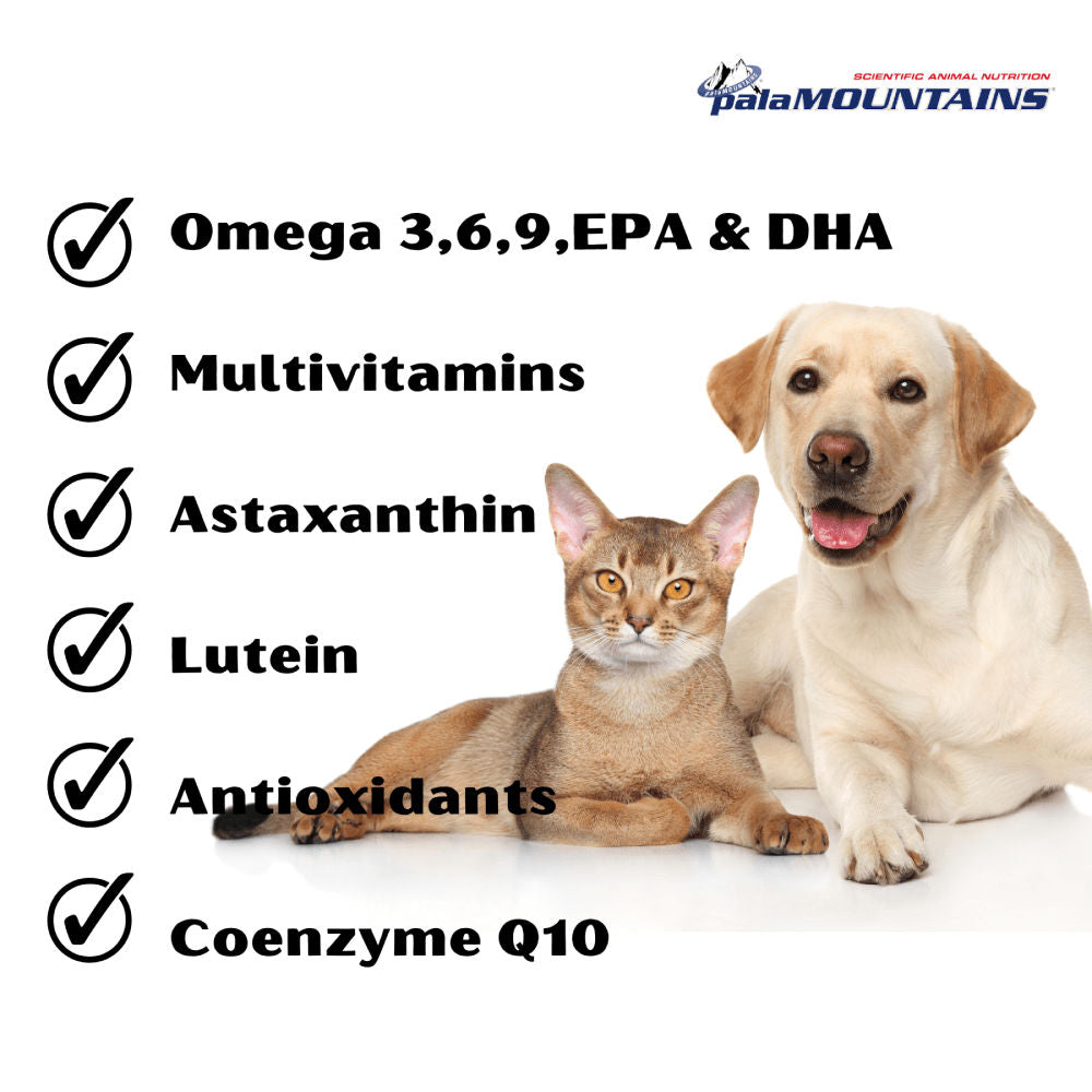 My Beau Vision & Optics Health Supplement for Dogs and Cats — side view