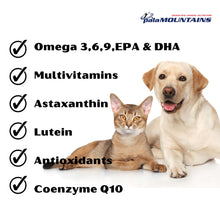 My Beau Vision Optics Health Supplement For Dogs Cats - Image 2