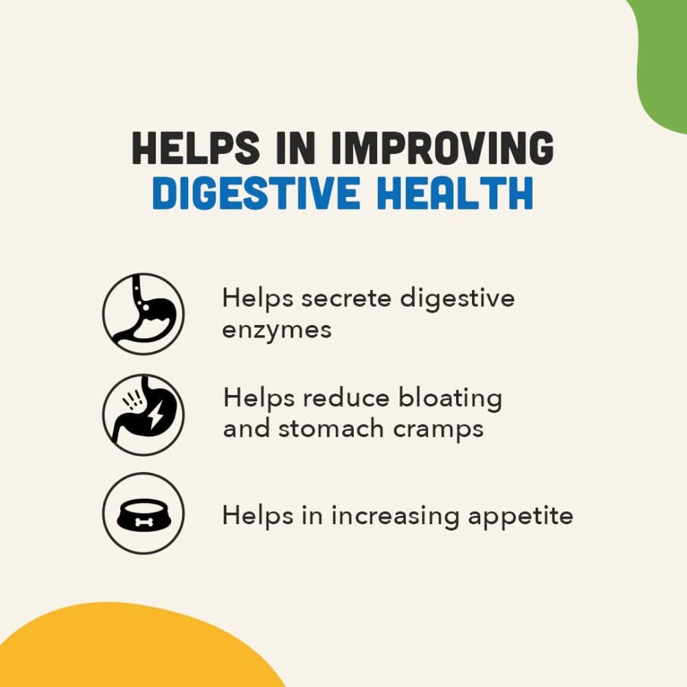 Natural Remedies Digestive Bites Chew Treats for Dogs — back view