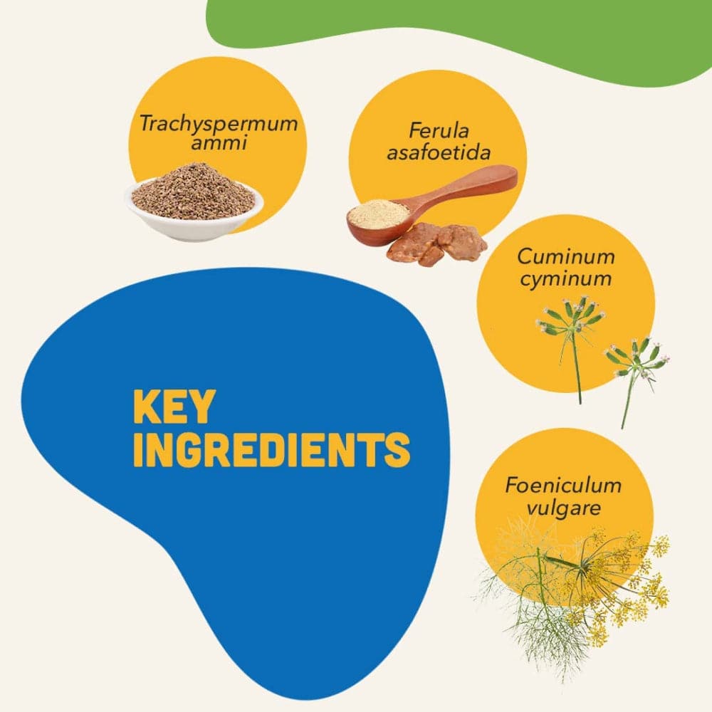 Natural Remedies Digestive Bites Chew Treats for Dogs — detail shot