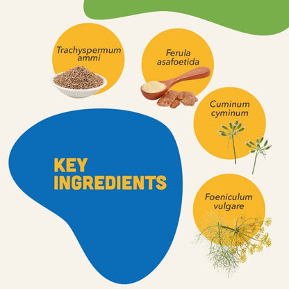 Natural Remedies Digestive Bites Chew Treats for Dogs — detail shot