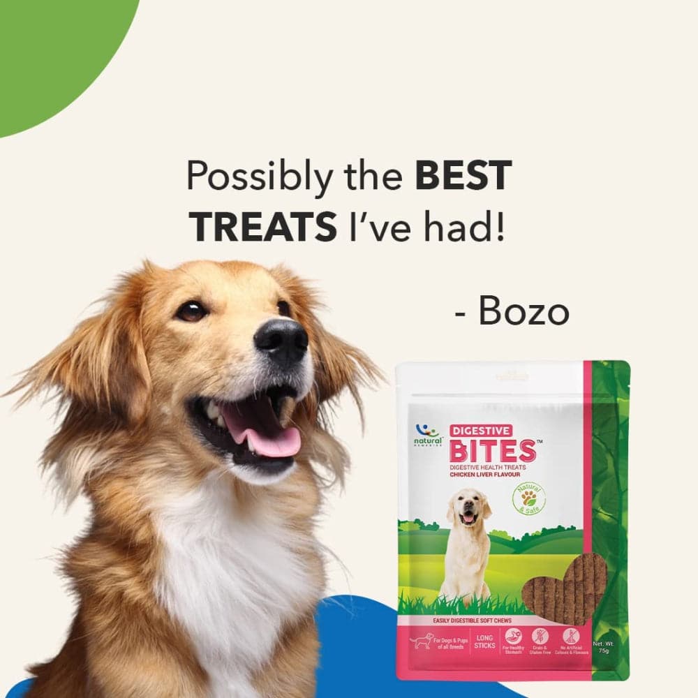 Natural Remedies Digestive Bites Chew Treats for Dogs — in use