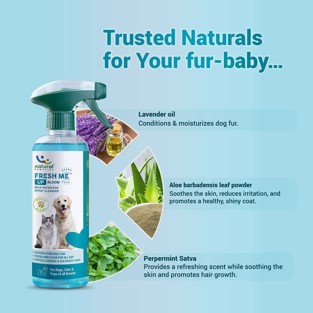 Natural Remedies Fresh Me Up Bloom Dry Shampoo for Dogs and Cats — back view