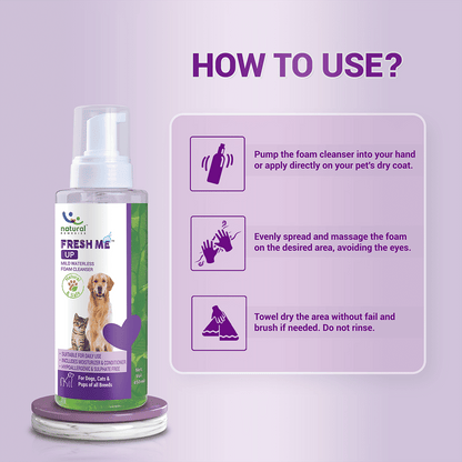 Natural Remedies Fresh Me Up Waterless Dry Shampoo for Dogs and Cats — in use