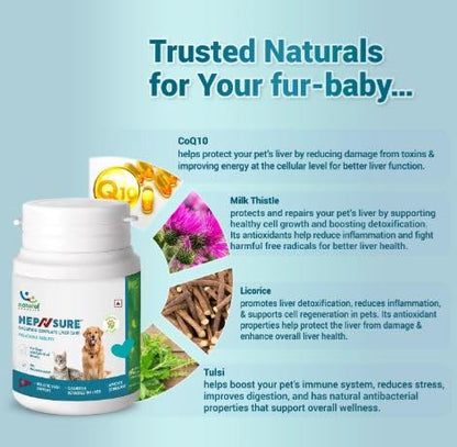 Natural Remedies Hep N sure Tablets for Dogs and Cats — detail shot